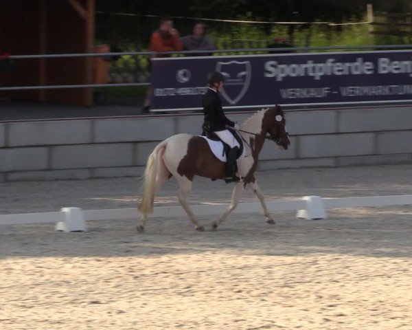Reitturnier Dorfchemnitz 2024