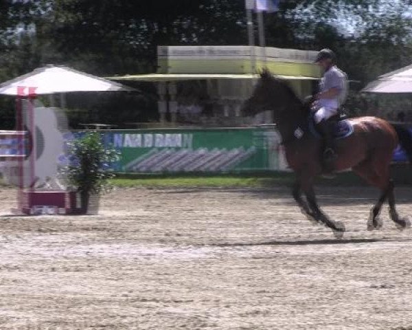 Datteln 2012