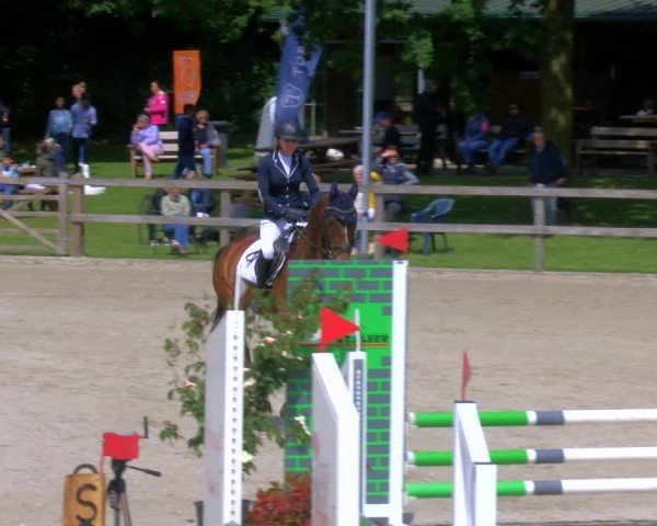Reitturnier Barlo-Bocholt 2024
