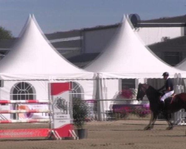 Datteln 2012
