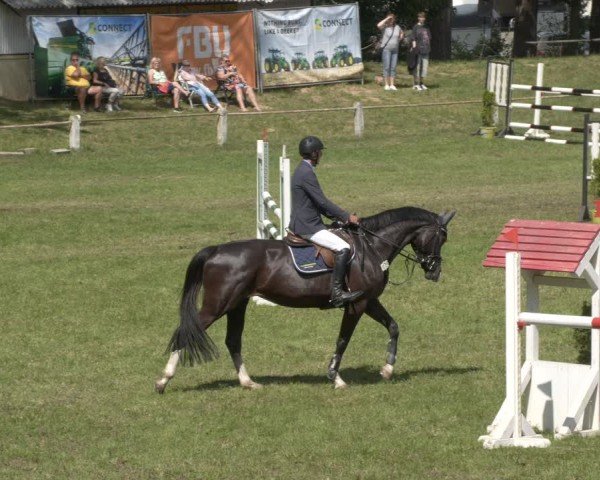 Reitturnier Sonnewalde 2024