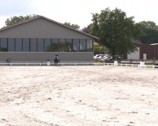 Reitturnier Brockhöfe 2024