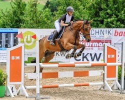 jumper Lord La Verdi (KWPN (Royal Dutch Sporthorse), 2016, from Kantje's Ronaldo)