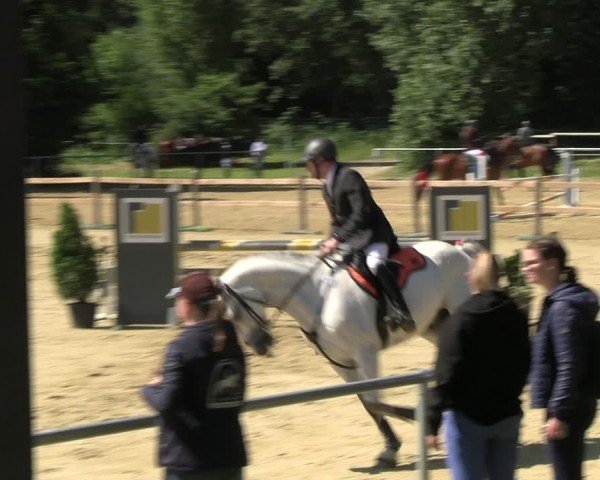 Reitturnier Oelde 2024