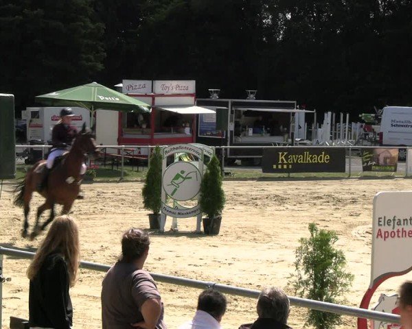 Reitturnier Oelde 2024