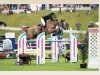 jumper Christiane K (Hanoverian, 2013, from Christian 25)