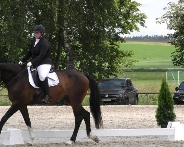 Reitturnier Taufkirchen-Vils/Obb. 2024