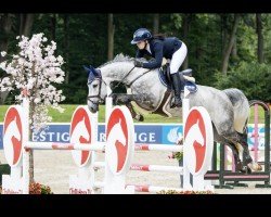 jumper DSP Ti Cassy's Kenedy (German Sport Horse, 2018, from Cornet Obolensky)