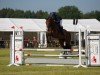 jumper Landcrack's Sam (Oldenburg show jumper, 2020, from Lamberk's Lord Landcrack)