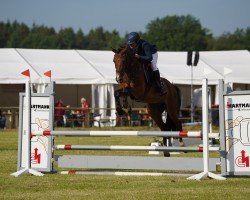 jumper Landcrack's Sam (Oldenburg show jumper, 2020, from Lamberk's Lord Landcrack)