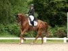 dressage horse Facilité Wh (Hanoverian, 2017, from Floris Prince)