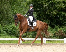 dressage horse Facilité Wh (Hanoverian, 2017, from Floris Prince)