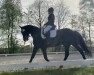 broodmare Wahre Liebe (Oldenburg, 2007, from Diamonit I)