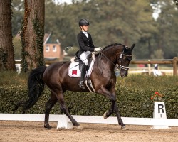 dressage horse BreFood's Sencelles GF (Oldenburg, 2017, from San Amour I)