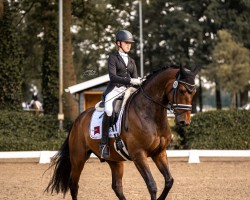 dressage horse BreFood's Feliciano (Hanoverian, 2018, from Fürstenball)