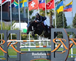 jumper Alberto (KWPN (Royal Dutch Sporthorse), 2005, from Royal Vinckenburgh of Heritage)