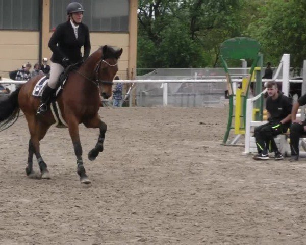 Reitturnier Villach/Sumperhof 2023