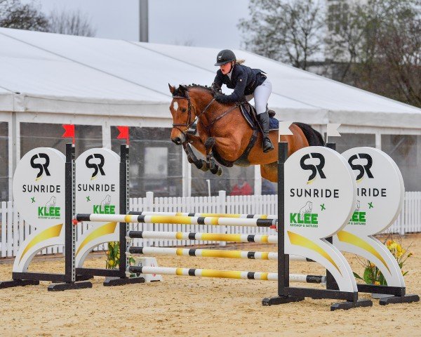 jumper Milou 11 (Holsteiner, 2018, from Million Dollar)