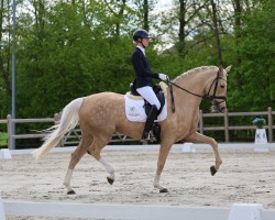 dressage horse Espasita (German Riding Pony, 2019, from Steendieks Exklusiv)