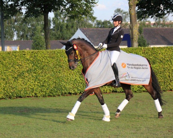 dressage horse Filou le Bon (Rhinelander, 2004, from Fürst Piccolo)