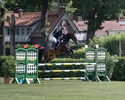 dressage horse Finest Cascadella (Holsteiner, 2013, from Cascadello)