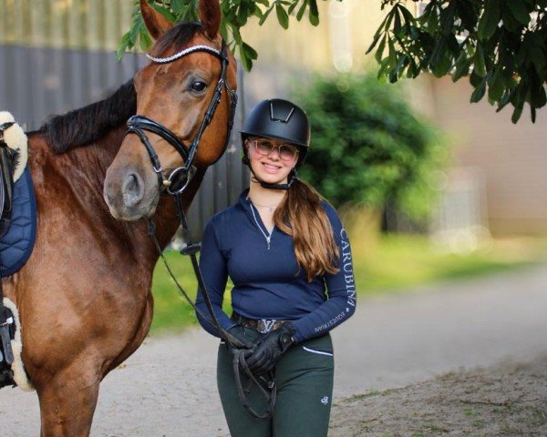 dressage horse D-Tox Gold (German Sport Horse, 2019, from Don Royal)