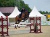 jumper Le-Toulon (KWPN (Royal Dutch Sporthorse), 2016, from Etoulon VDL)