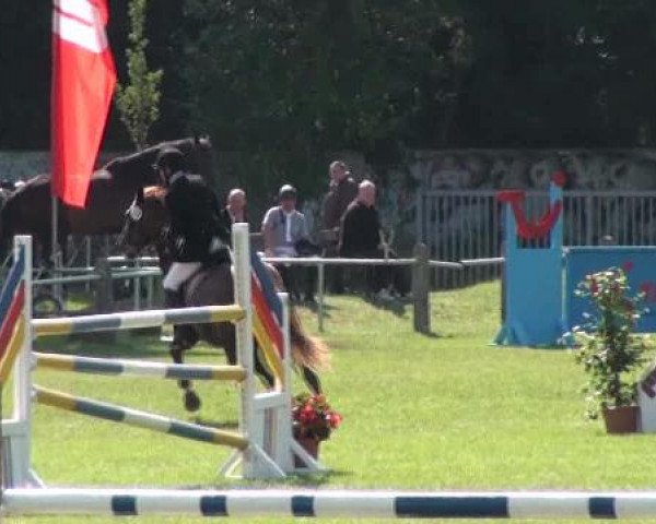 Gardelegen 2012