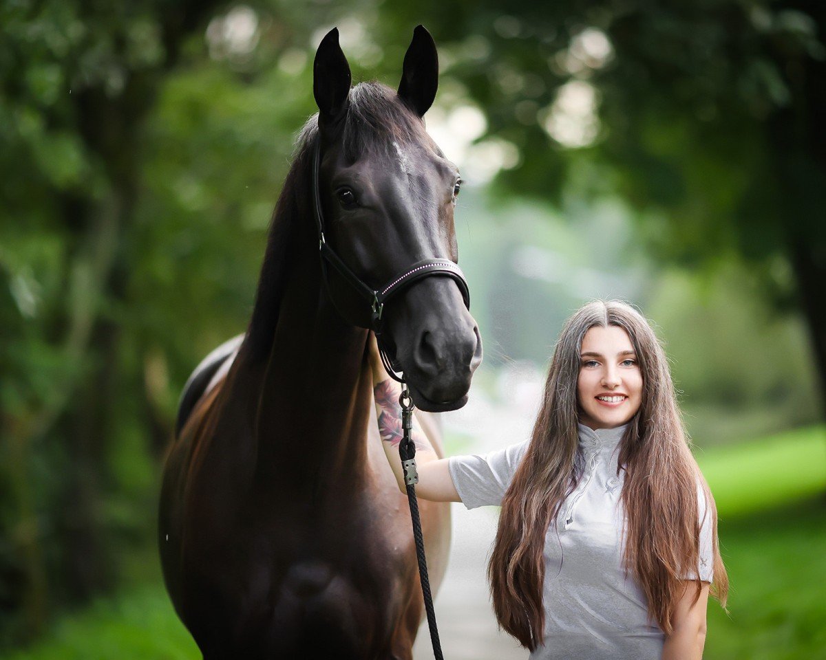 Dressurpferd Take My Money (Selle Français, 2018, von Birkhof's Topas Fbw)
