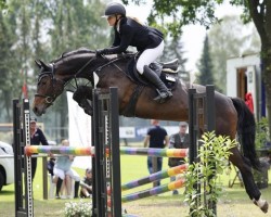 jumper Curly B (German Sport Horse, 2017, from Chap II)