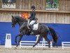 dressage horse Fiorella Cb (Oldenburg, 2019, from Freischuetz)