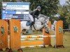 jumper Capito S (German Sport Horse, 2013, from Cornet De Lux)