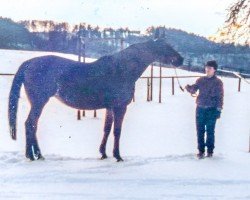 broodmare Tamara (Bavarian, 1983, from Trinidad)