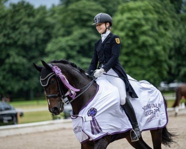 dressage horse Bandol 3 (Hanoverian, 2010, from Benetton Dream FRH 1301)