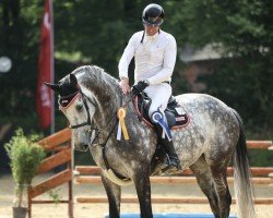 jumper Q-Melrose W Z (Zangersheide riding horse, 2017, from Quickly de Kreisker)