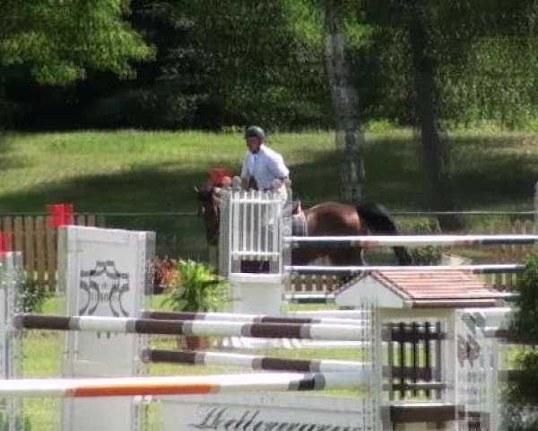 Gardelegen 2012