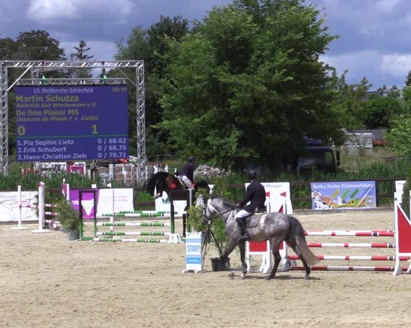 Reitturnier Schönfeld 2024