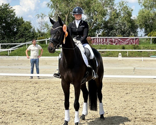 dressage horse Haily Cooper (Westphalian, 2019, from Hotline)