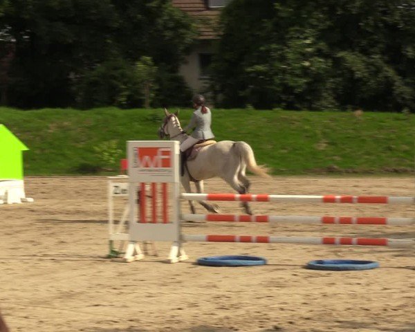 Reitturnier Fröndenberg 2024