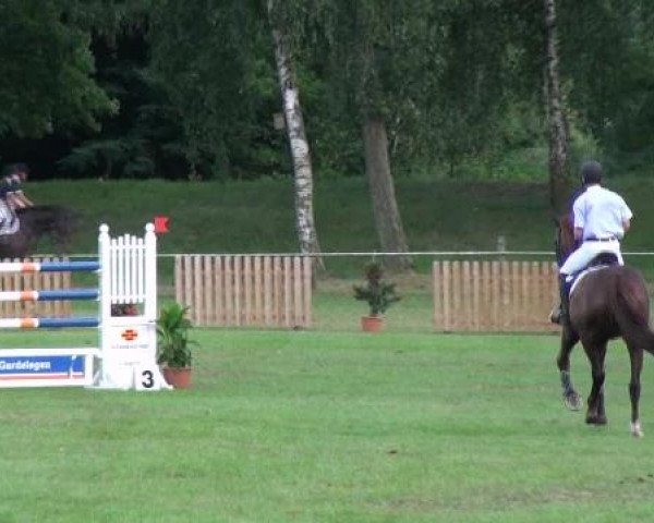 Gardelegen 2012