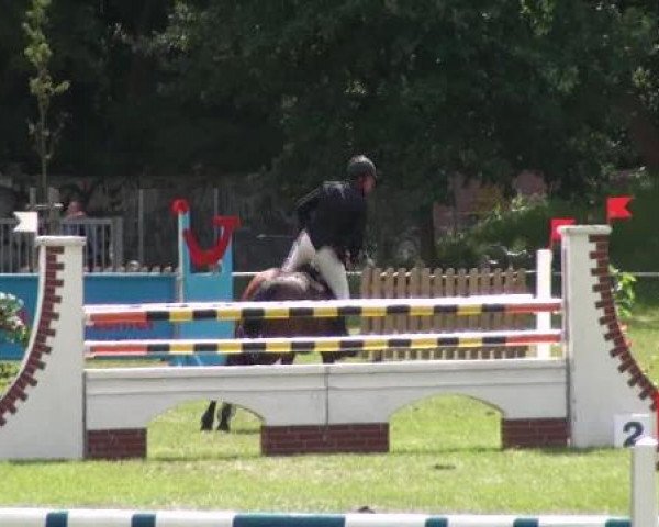 Gardelegen 2012