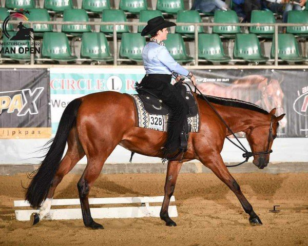 Pferd Culcha Candela (Quarter Horse, 2018)