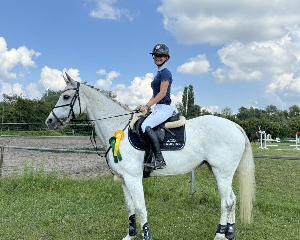 broodmare Boogie Wonderland (Oldenburg, 2012, from Casino Berlin OLD)