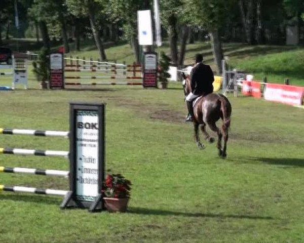 Gardelegen 2012