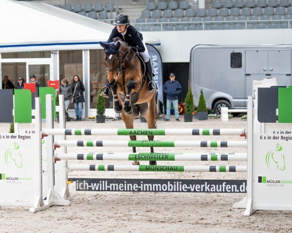 Springpferd Silinde Aeg (Belgisches Warmblut, 2018, von Cornet Obolensky)