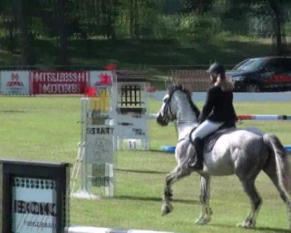 Gardelegen 2012