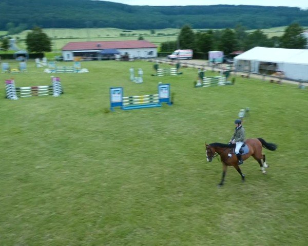 Reitturnier Wingerode 2024