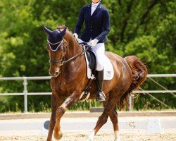 dressage horse Fürstentanz 18 (Oldenburg, 2018, from Fuechtels Floriscount OLD)