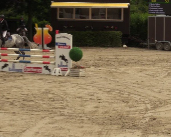 Reitturnier Fröndenberg 2024