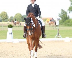 dressage horse Finley 125 (Hanoverian, 2017, from Franziskus FRH)